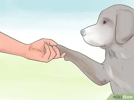 Image titled Teach Your Dog to Shake Hands Step 5