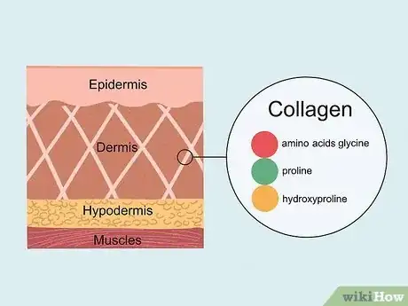 Image titled Best Collagen Supplements Step 1