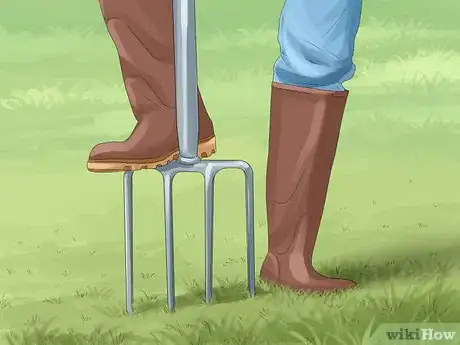 Image titled Take Care of Your Lawn Step 19