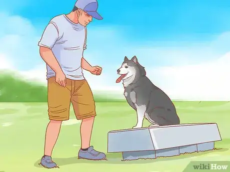 Image titled Talk to a Dog Step 4