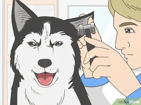 Image titled Best Pet Insurance Step 10