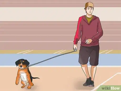 Image titled Start Walking Your Puppy Step 12