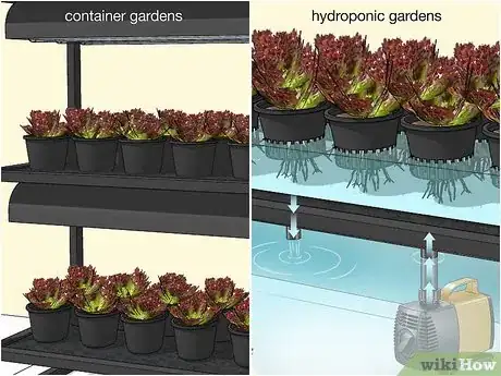 Image titled Design a Successful Indoor Garden Step 1