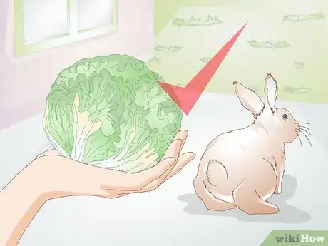 Image titled Feed Greens to Your Rabbit Step 5