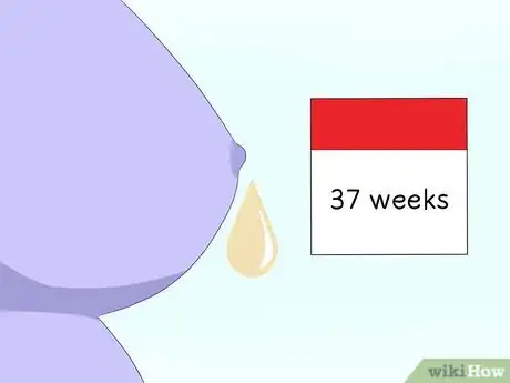 Image titled Understand the Final Weeks of Pregnancy Step 1