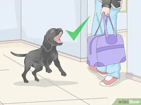 Image titled Get a Urine Sample from a Male Dog Step 1