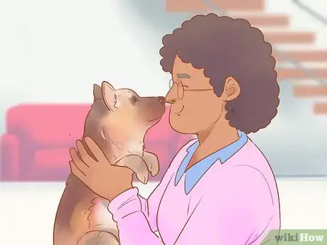 Image titled Choose a German Shepherd Puppy Step 10