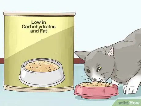 Image titled Feed a Diabetic Cat Step 4