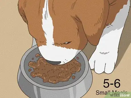 Image titled What to Feed a Puppy with Parvo Step 9