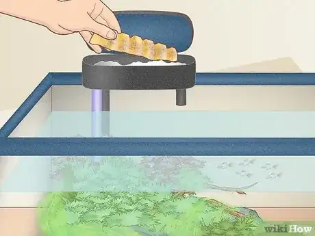 Image titled Clean Aquarium Filter Without Killing Bacteria Step 10