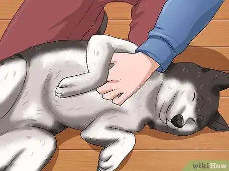 Image titled Rub a Dog's Tummy Step 6