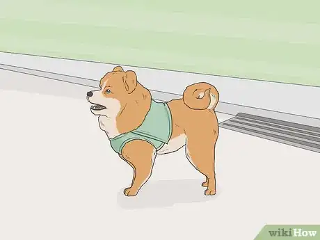 Image titled Identify a Service Dog Step 5