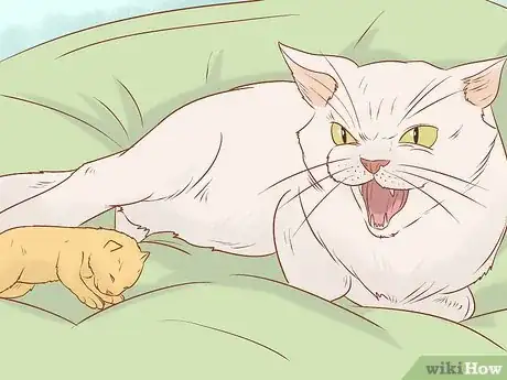 Image titled Tell if a Cat Still Has Kittens Inside Step 7