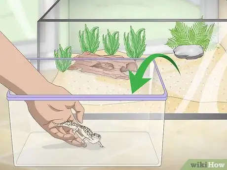 Image titled Clean and Reuse Reptile Substrate_Sand Step 1