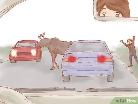 Image titled Avoid a Moose or Deer Collision Step 7