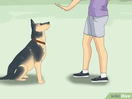 Image titled Teach Your Dog to Heel Step 13