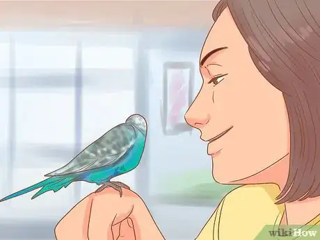 Image titled Teach Your Parakeet to Love You Step 7