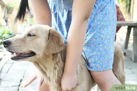 Image titled Control Your Dog's Behavior by Becoming Pack Leader Step 4