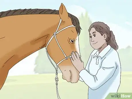 Image titled Teach Your Horse to Back up from the Ground Step 8