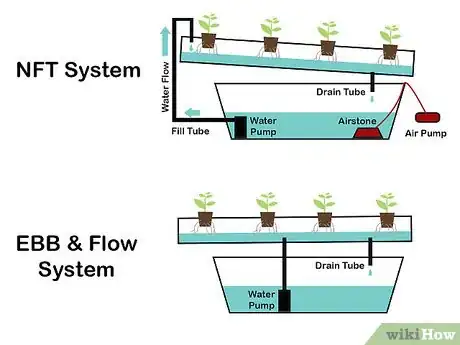 Image titled Grow Hydroponic Lettuce Step 2