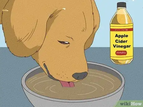 Image titled What to Feed a Puppy with Parvo Step 4