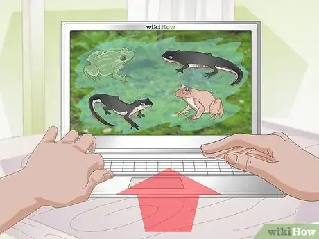 Image titled Care for Salamanders Step 13