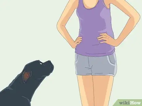 Image titled Teach Your Dog to Heel Step 11