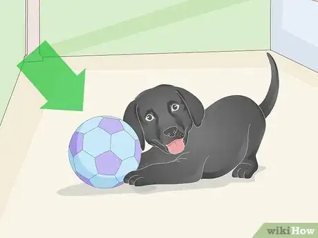 Image titled Get a Puppy to Sleep Step 1