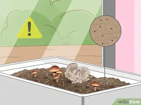 Image titled Grow Edible Mushrooms Step 7