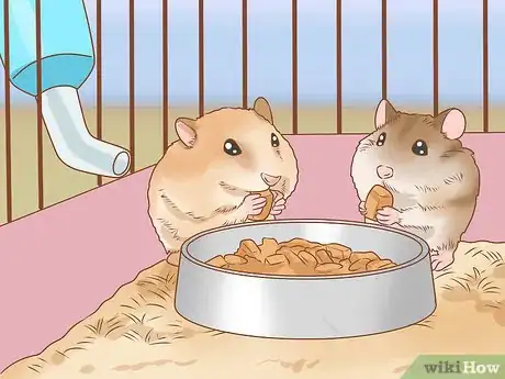 Image titled Introduce Two Dwarf Hamsters Step 7