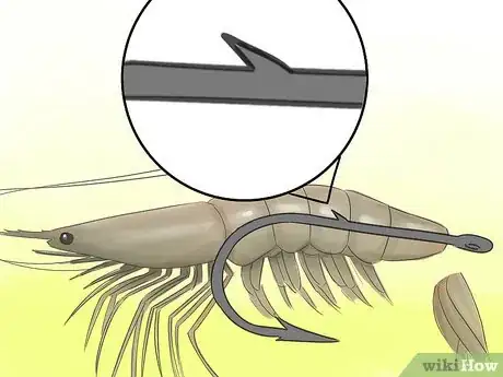 Image titled Hook a Shrimp Step 3Bullet1