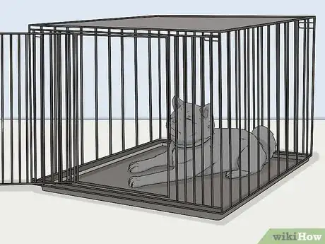 Image titled Measure a Dog for a Crate Step 11