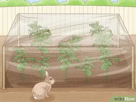 Image titled Grow Cucumbers Step 17