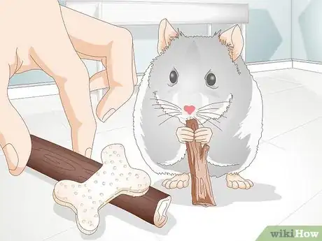 Image titled Treat Cheek Abscesses in Hamsters Step 7