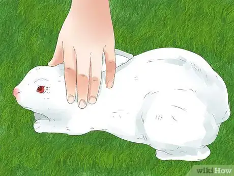 Image titled Understand Your Rabbit Step 7