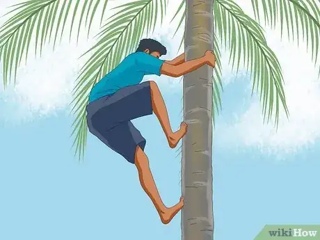 Image titled Climb a Tree With No Branches Step 7