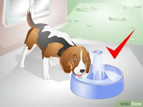 Image titled Get a Sick Dog to Drink Step 8