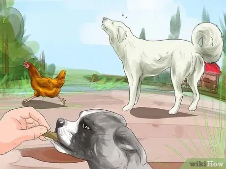 Image titled Train a Dog to Protect Chickens Step 6