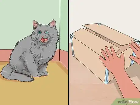 Image titled Keep a Cat Calm During a Move Step 3