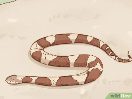 Image titled Pick up a Snake Step 11