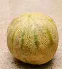 Ripen a Cantaloupe