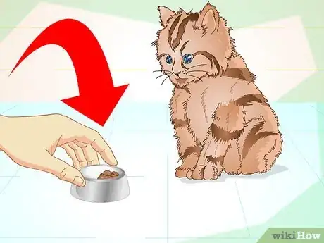 Image titled Get a Sick Kitten to Eat Step 1