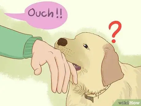 Image titled Stop My Dog from Biting when Excited Step 3