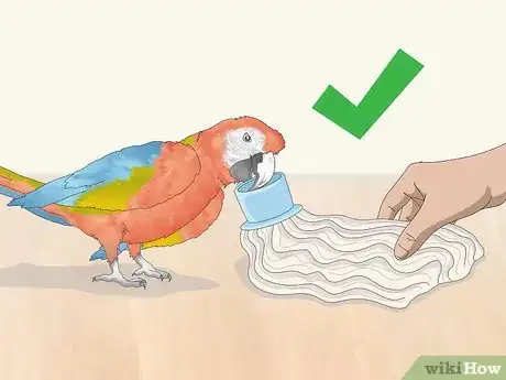 Image titled Stop a Macaw from Feather Picking or Chewing Step 5