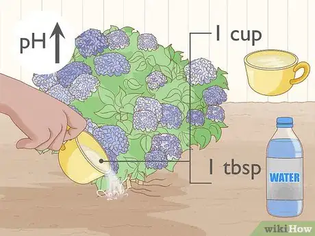 Image titled Make Hydrangeas Purple Step 9