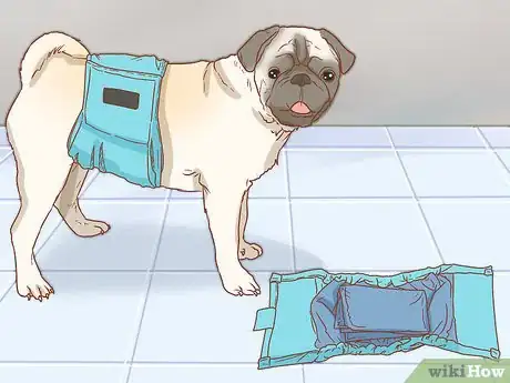 Image titled Diaper Your Dog with Disposable Dog Diapers Step 7