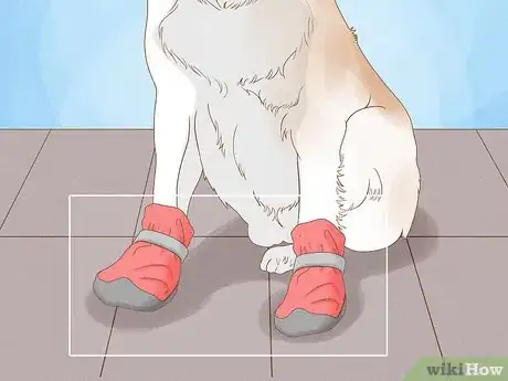 Image titled Stop a Dog from Licking Its Paws with Home Remedies Step 10