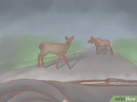 Image titled Avoid a Moose or Deer Collision Step 6