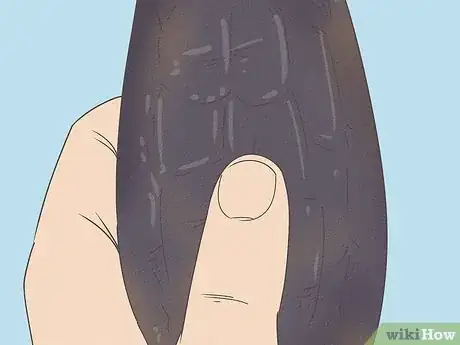 Image titled Tell if Eggplant Is Bad Step 4