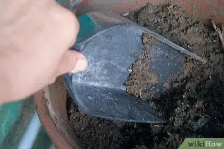 Image titled Preserve Seeds from Bell Peppers Step 10